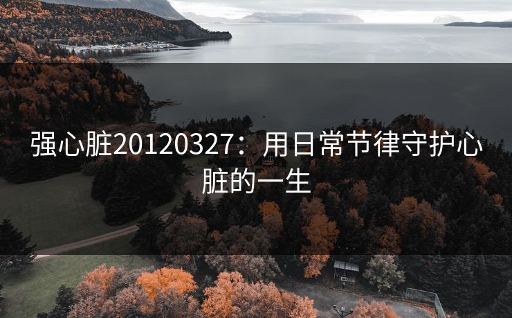 强心脏20120327：用日常节律守护心脏的一生