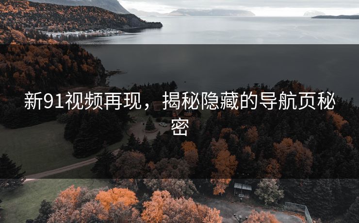 新91视频再现，揭秘隐藏的导航页秘密
